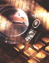 Acanthus Associates